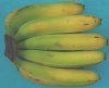 Foto Bananen