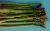 Photo, asparagus