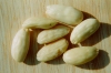 Photo, almonds