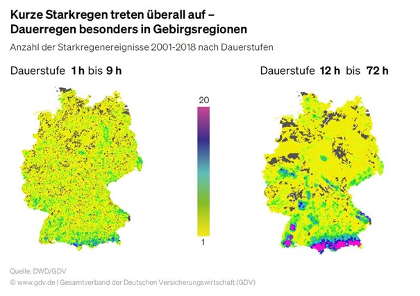 Fraßspuren an Holz