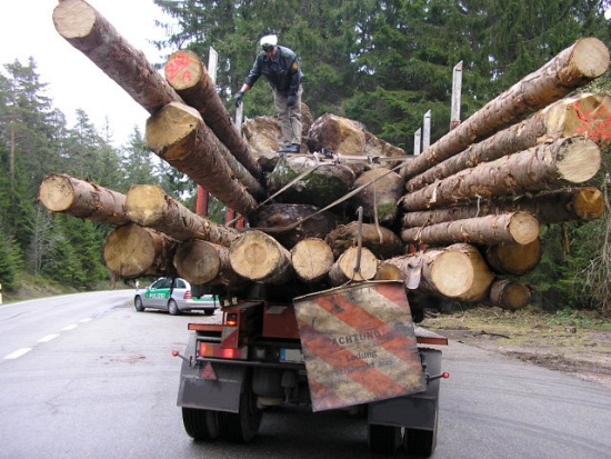 Foto des Monats - November 2010