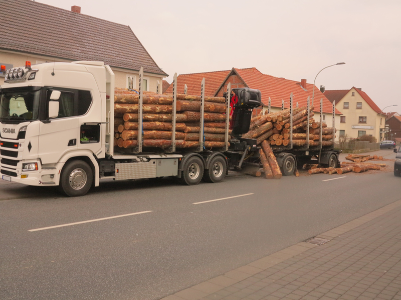 Foto des Monats - Mai 2018