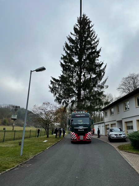 Foto des Monats - Dezember 2020 - Weihnachts-Special 7