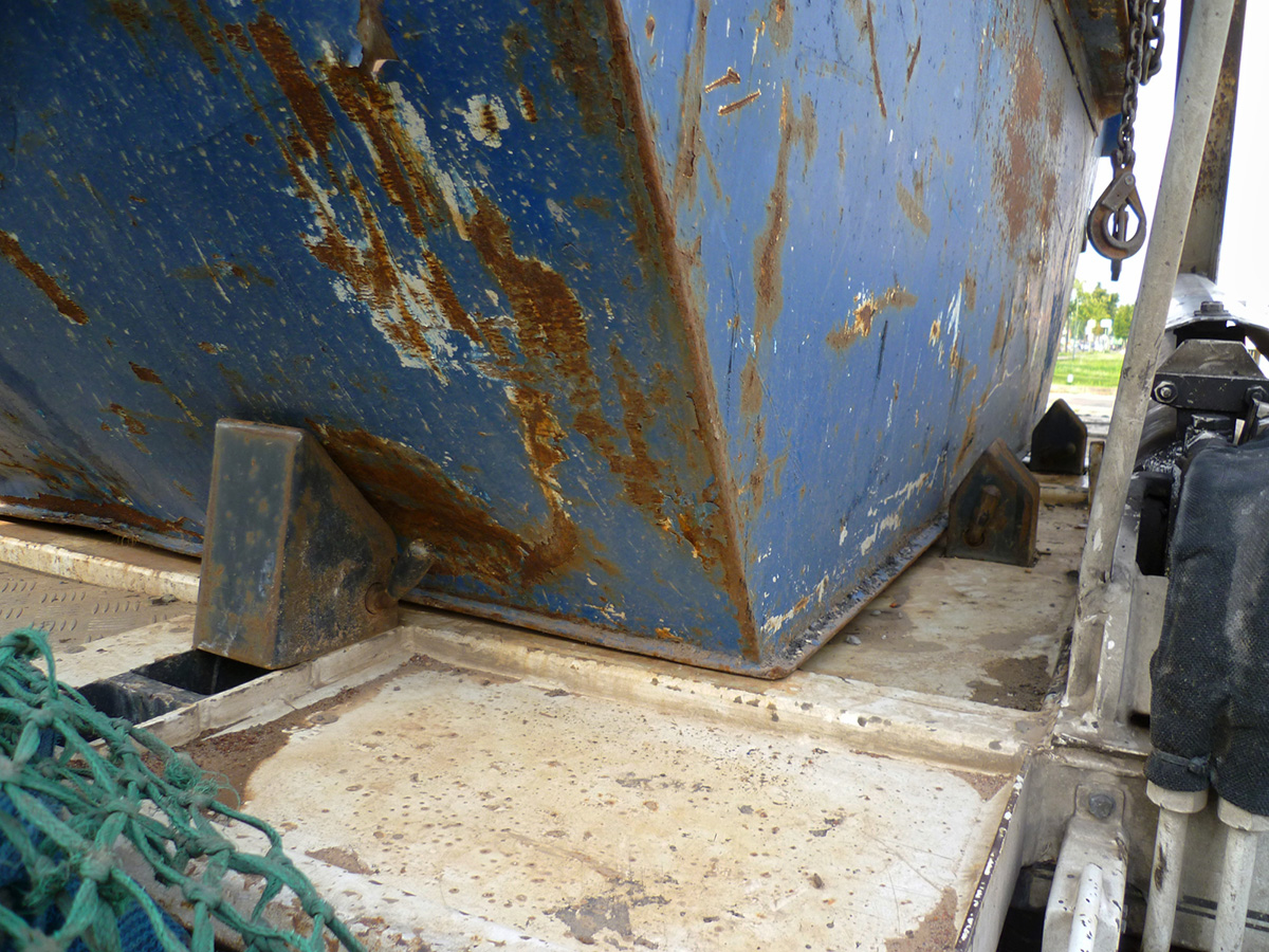 Foto des Monats - Januar 2026