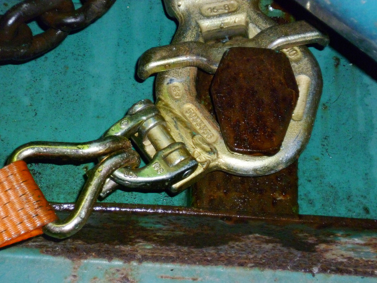 Foto des Monats - Januar 2026