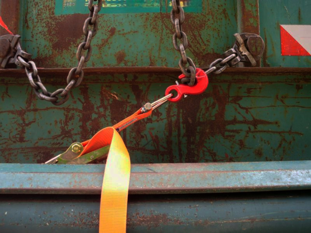 Foto des Monats - Januar 2026