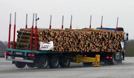 Sicherung von Kurzholz auf Straßenfahrzeugen – Transport