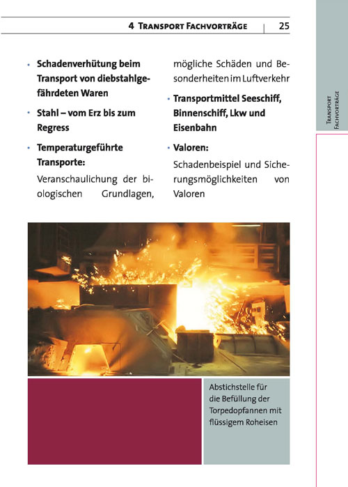 Transport-Informations-Service -Ein &Uuml;berblick-