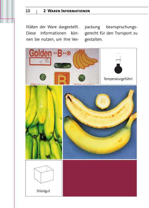 Transport-Informations-Service -Ein Überblick-