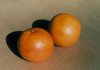 Foto Grapefruits