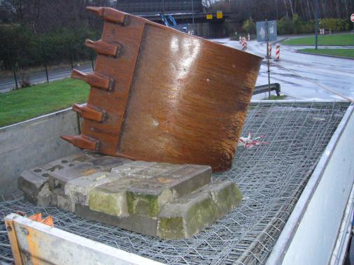 Photo of the month - February 2007