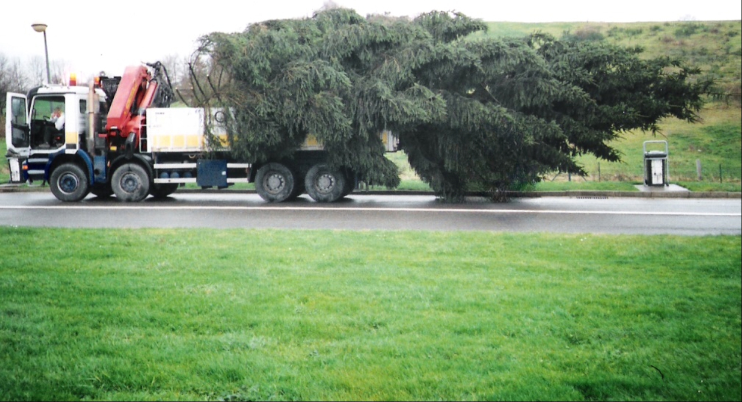 Photo of the month - December 2025