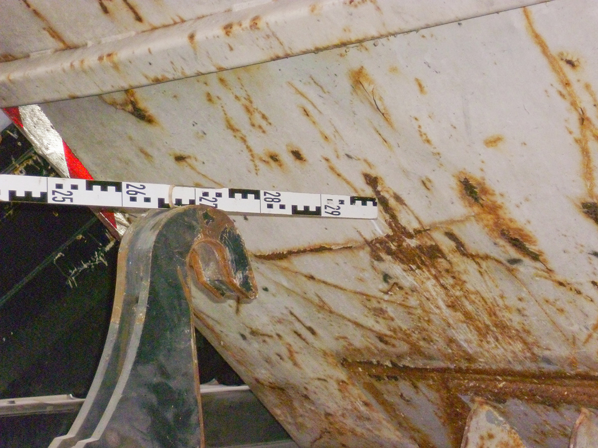 Photo of the month - January 2026