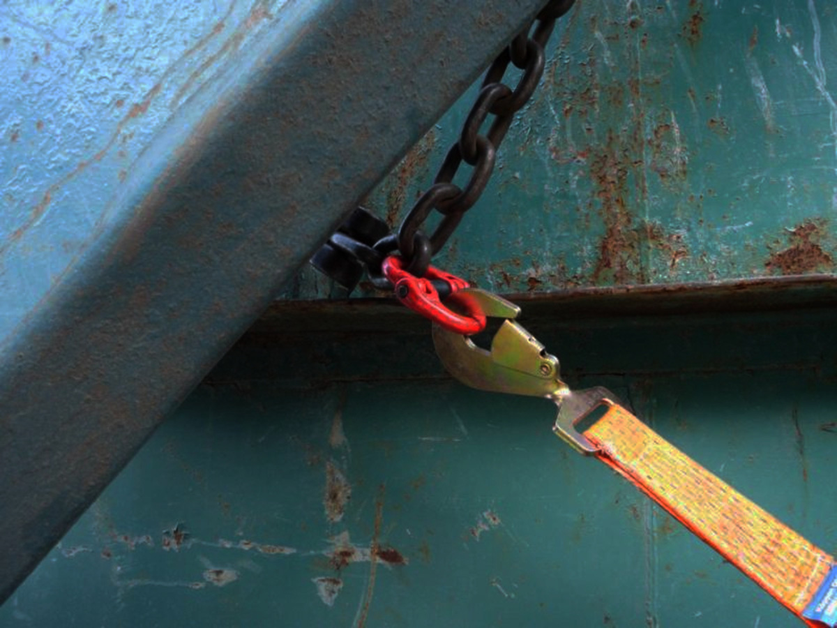 Photo of the month - January 2026