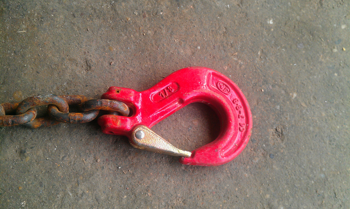 Photo of the month - January 2026