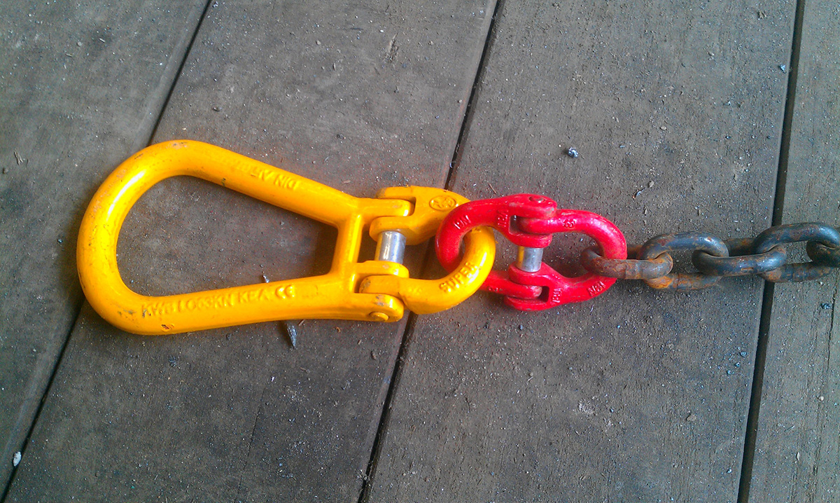 Photo of the month - January 2026