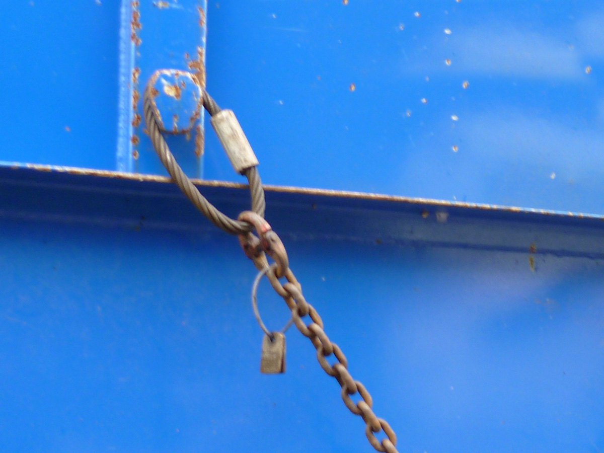 Photo of the month - January 2026