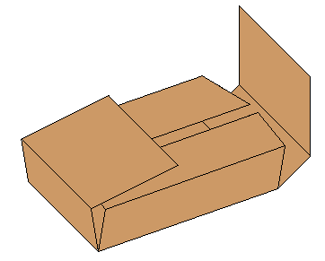 Folder carton