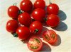 Photo, cherry tomatoes