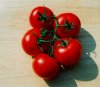 Photo, tomatoes