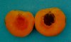 Photo, apricot kernels
