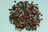 Photo, black pepper