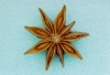 Photo, true star anise