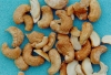 Photo, cashew nuts