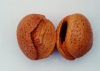 Photo, almonds