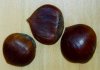 Photo, chestnuts