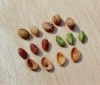 Photo, pistachio nuts