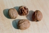 Photo, walnuts
