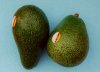 Photo, avocado