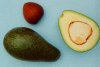 Photo, avocado
