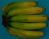 Photo, bananas