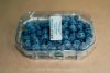 Photo, blueberries