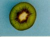 Photo, kiwifruit
