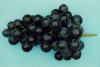 Photo, black grapes