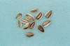 Photo, sunflower seeds