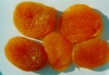 Photo, apricots