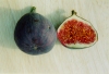Photo, figs